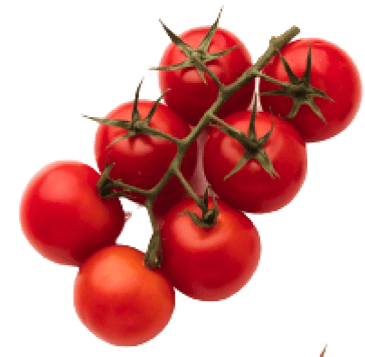 tomatoes